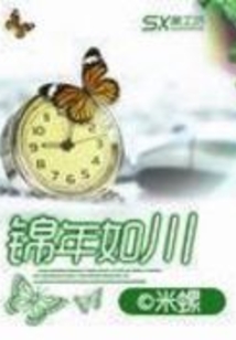 锦年如川