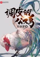 调皮的公鸡在线阅读