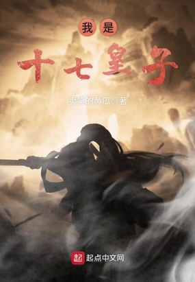 我是十七皇子在线阅读