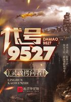 代號—9527在線閱讀