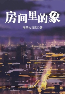 房間里的象