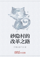 砂隱村的改革之路在線閱讀