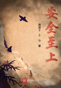 安全至上：从定制到落地的防坠网全流程解析 (安全至上后面接什么)-初仟社区