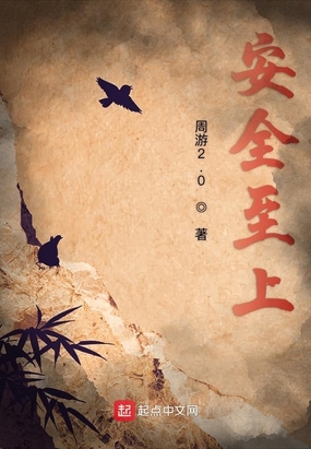 安全至上在线阅读