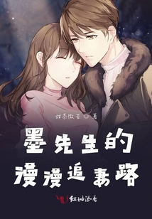 墨先生的漫漫追妻路