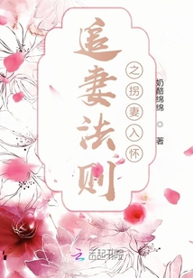 追妻法則之拐妻入懷