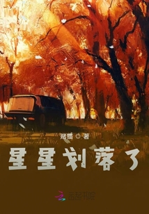 星星划落了