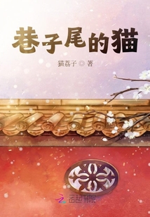 巷子尾的貓