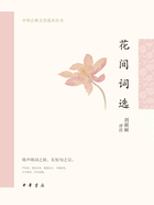 花间词选（中华古典文学选本丛书）