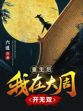 重生后我在大周开无双在线阅读