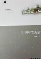 寻找阿依古丽在线阅读