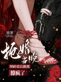 On the Night of the Wedding, My Contracted Husband Was Driven Crazy by Me
