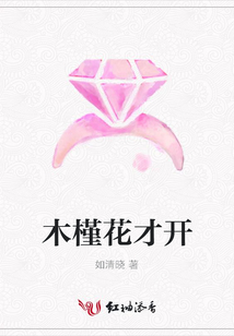 木槿花才开