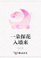 一朵探花入墻來在線閱讀