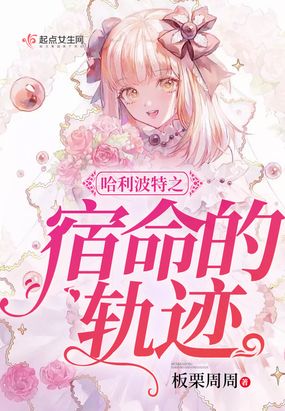 哈利波特之宿命的轨迹在线阅读