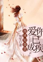 南風(fēng)知我意，愛你已成疾在線閱讀