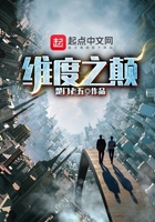 維度之顛在線閱讀