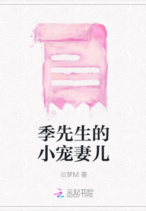 季先生的小寵妻兒
