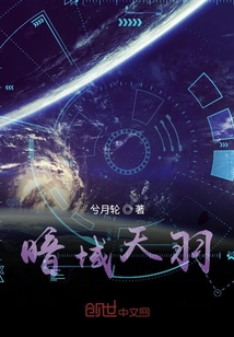 暗域天羽