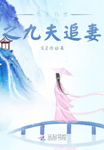 九生九世之九夫追妻