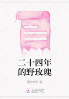 二十四年的野玫瑰在線閱讀