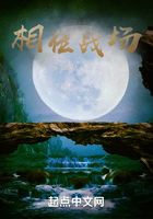相位战场在线阅读