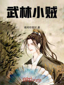武林小賊