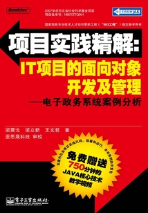 項目實踐精解：IT項目的面向對象開發及管理