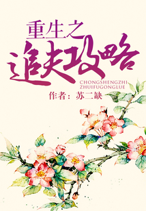 重生之追夫攻略