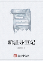 新疆寻宝记