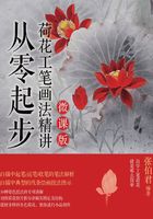 从零起步：荷花工笔画法精讲（微课版）在线阅读