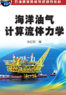 海洋油氣計算流體力學