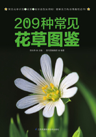 209种常见花草图鉴