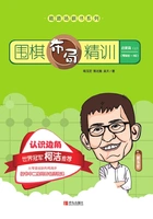 围棋布局精训·启蒙篇(上)在线阅读