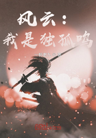 风云:我是独孤鸣在线阅读