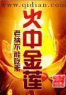 火中金莲在线阅读