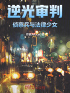逆光审判:侦察兵与法律少女在线阅读
