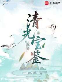 清光宝鉴在线阅读