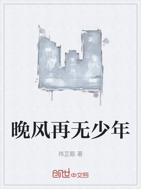 晚风再无少年在线阅读