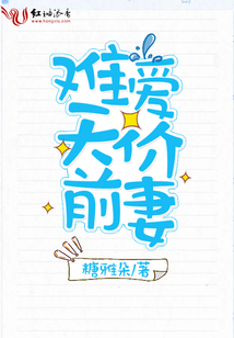 難愛天價前妻