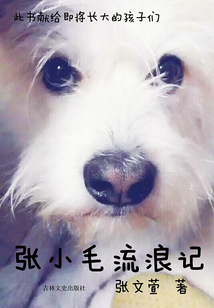 張小毛流浪記