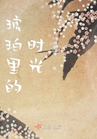 琥珀里的時(shí)光在線(xiàn)閱讀