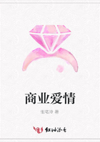 商業愛情在線閱讀