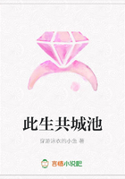 此生共城池在線閱讀