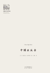 国际名人看中国：中国在反击
