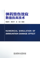 弹药毁伤效应数值仿真技术在线阅读