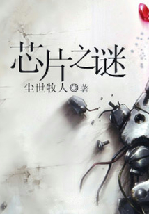 芯片之謎