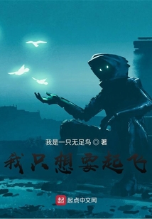我只想要起飛