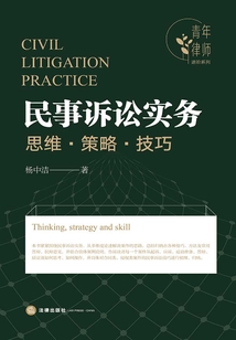 民事訴訟實務：思維·策略·技巧
