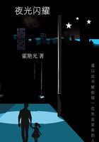 夜光闪耀在线阅读
